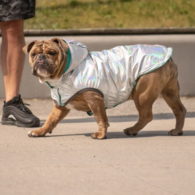 Reversible Raincoat - Neon Aqua with Iridescent - Image 7